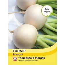 Turnip Snowball - KeansClaremorris