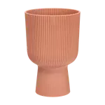 Vibes Fold Coupe 14cm Delicate Pink