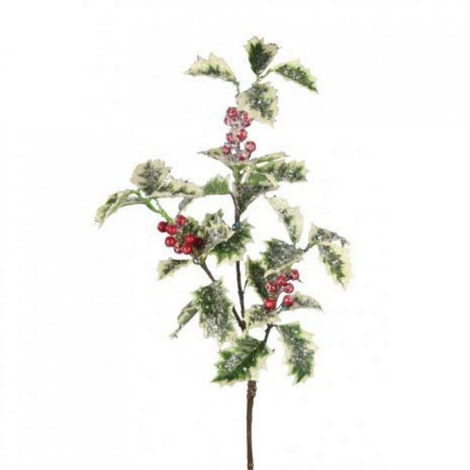Winter Chill Holly 70cm spray with frosted variegated leaves and red berries, Christmas decoration – Keans Claremorris