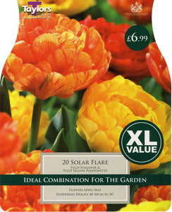 Tulip Solar Flare Combination Pack 20
