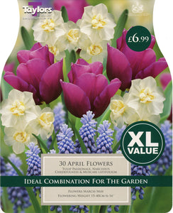 April Flowers Combination Pack of 30