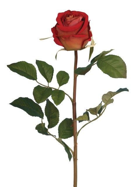Artificial Velvet Red Rose 69cm with soft velvet petals, vibrant fade-resistant color, maintenance-free – Keans Claremorris