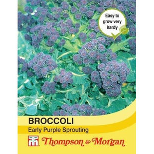 Broccoli (Early Purple Sprouting)