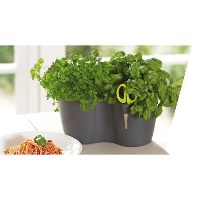 Brussels Herbs Duo S Anthracite pot with drainage, aeration, and multi-bladed herb scissors by Keans Claremorris.