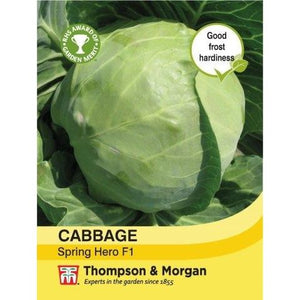 Cabbage Spring Hero F1
