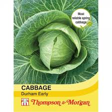 Cabbage Durham Early