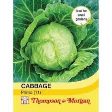Cabbage Primo seeds - hardy, full sun, 30cm tall, 45cm spread, harvest Jun-Aug, 200 seeds | Keans Claremorris