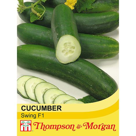 Cucumber Swing F1 dark green slicer, heavy crop, powdery mildew resistant, ideal for greenhouse & outdoor growing - Keans