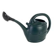 Green 10L Watering Can Ward, durable design, 12x80x19cm, ideal for gardening - Keans Claremorris
