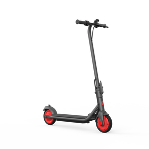 Segway Ninebot Zing C20 Electric Scooter