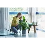 Floorprotector Round 18cm Transparent - Durable, clear floor protector for furniture legs | Keans Claremorris