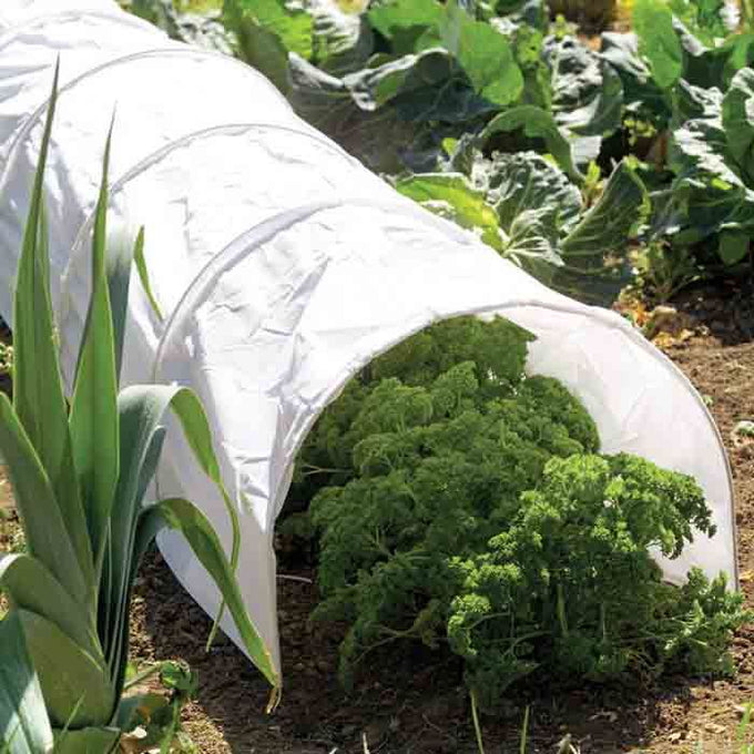 Grow It Polythene 3m grow tunnel with clear cover, wire frame, lift-up sides, ground pegs, pre-assembled – Keans Claremorris