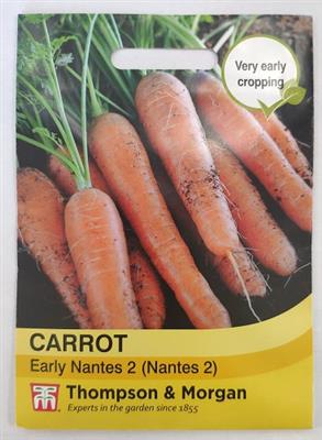 Carrot Early Nantes 2 seeds for kitchen garden, sow Feb-Jul, full sun, fresh carrots - Keans Claremorris