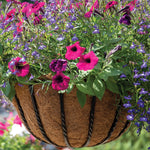 Load image into Gallery viewer, Blacksmith Hanging Basket 40cm  16 in
