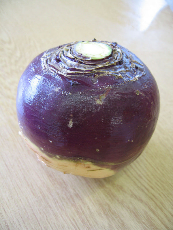 10g Swede Best of All Purple Top seeds, high yield, even-sized roots, rich taste, Vitamin C source – Keans Claremorris