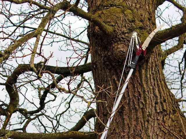 Kent & Stowe Telescopic Tree Lopper with extendable handle for pruning, available at Keans Claremorris.