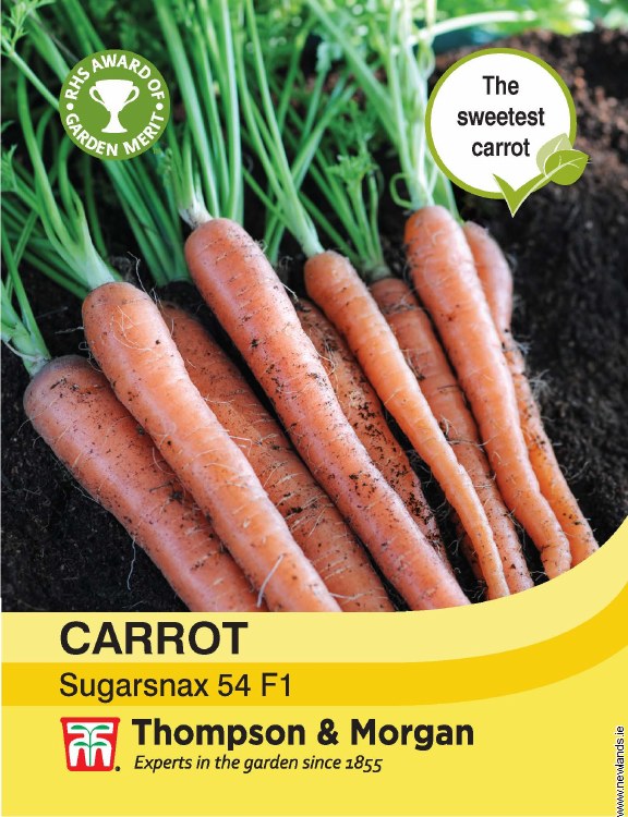 Carrot Sugarsnax 54 F1 – extra sweet, high beta carotene, 25cm roots, perfect for salads | Keans Claremorris