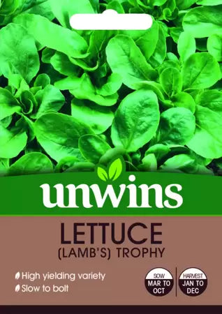 Lamb's Trophy lettuce leaves with soft, velvety texture, slow to bolt, ideal for salads and container growing – Keans