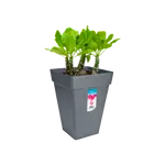 Loft Urban Square High 37cm Anthracite planter pot, modern design, durable finish - Keans Claremorris