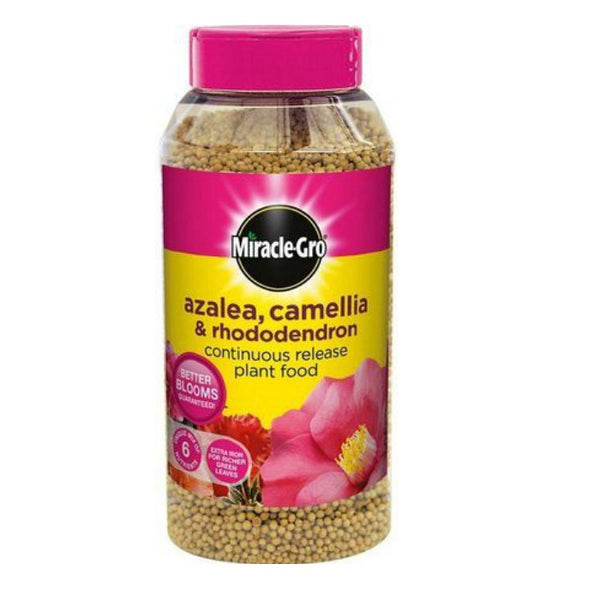 Miracle Gro Slow Release Ericaceous Plant Food 1kg for acid-loving plants, feeds up to 6 months - Keans Claremorris