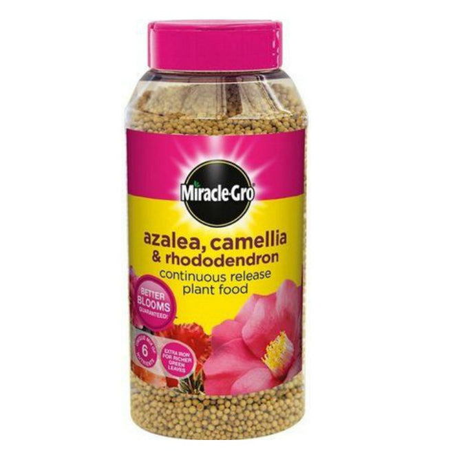 Miracle Gro Slow Release Ericaceous Plant Food 1kg for acid-loving plants, feeds up to 6 months - Keans Claremorris