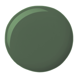 Beyond Paint All in One Forest Green 473ml – water-based, no sanding, primer/finisher, durable finish | Keans Claremorris