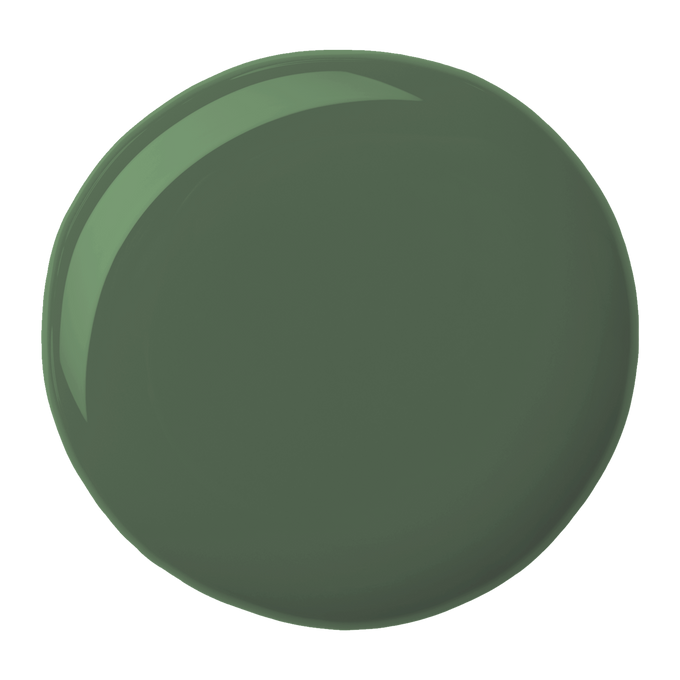 Beyond Paint All in One Forest Green 473ml – water-based, no sanding, primer/finisher, durable finish | Keans Claremorris