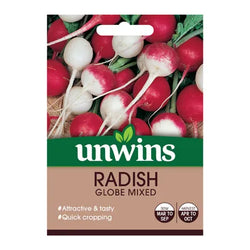 Radish Globe Mixed seeds – quick-growing scarlet, sparkler, white turnip radishes, perfect for salads. Available at Keans