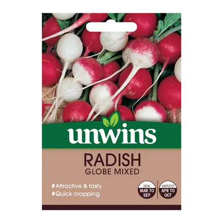 Radish Globe Mixed seeds – quick-growing scarlet, sparkler, white turnip radishes, perfect for salads. Available at Keans
