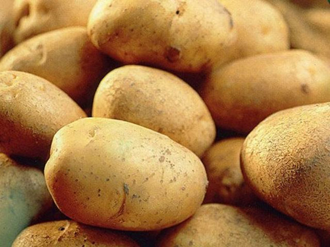 Main Crop Record Potatoes 5kg bag, oval yellow skin, light yellow flesh, versatile for chipping, roasting, boiling, baking –