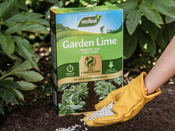 Garden Lime 4kg box for soil enrichment, reduces acidity, boosts nutrient absorption, calcium source – Keans Claremorris.