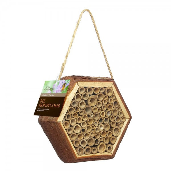 Bee Honeycomb Nest