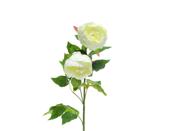 Artificial double spray cream peony, 82.5cm tall, decorative flower by Keans Claremorris